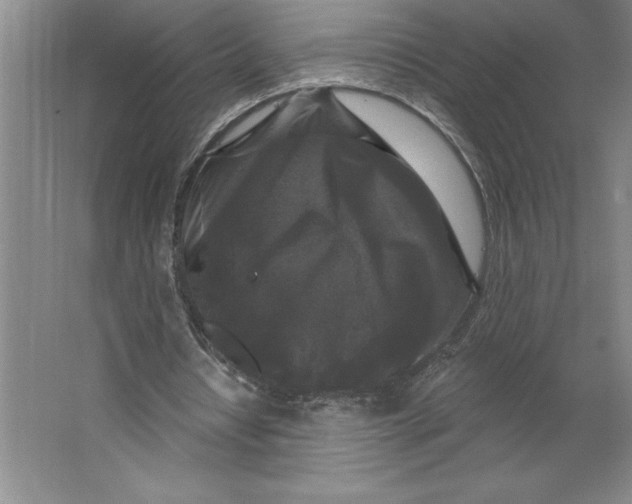 X0000062140434200512301531