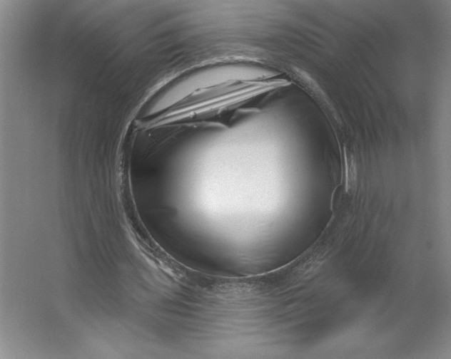 X0000062140435200512301531