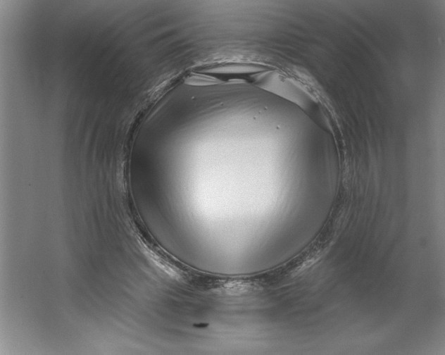 X0000062140441200512301531