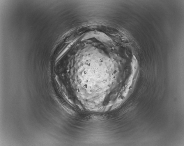 X0000062140442200512301531