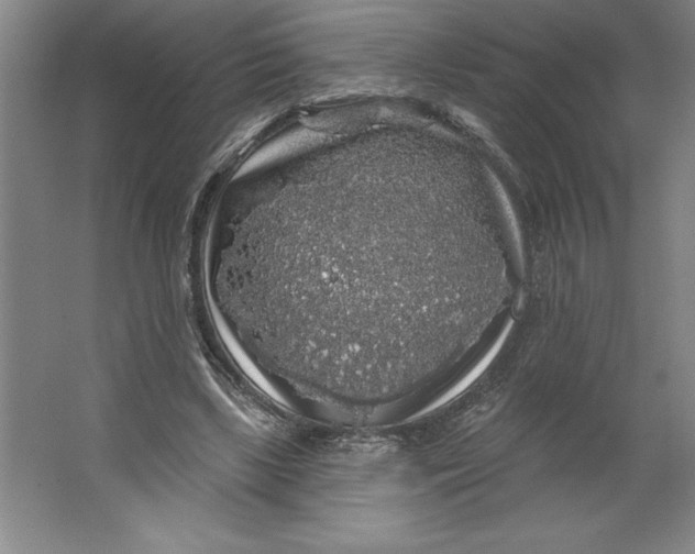 X0000062140443200512301531