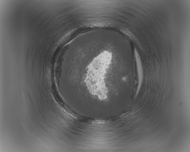 X0000062140444200512301531