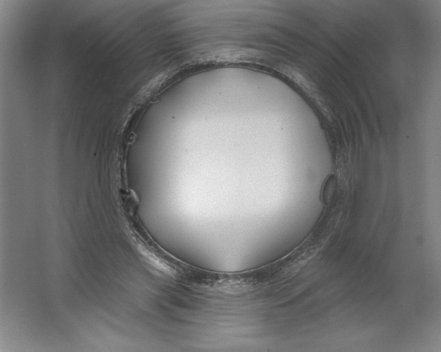 X0000062140445200512301531