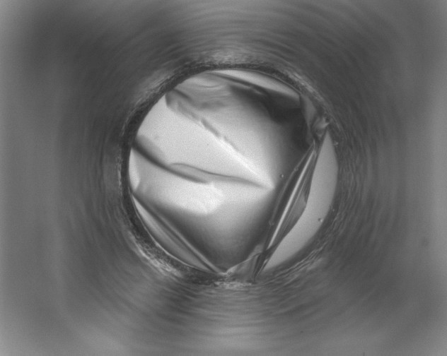 X0000062140446200512301531