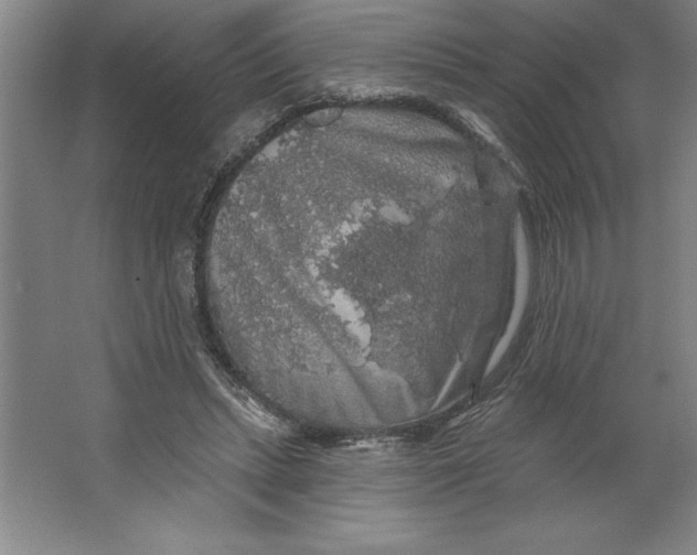 X0000062140447200512301531