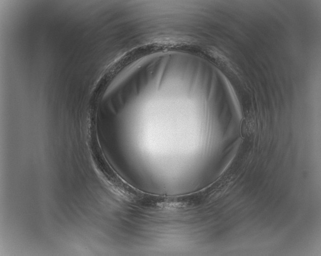 X0000062140448200512301531