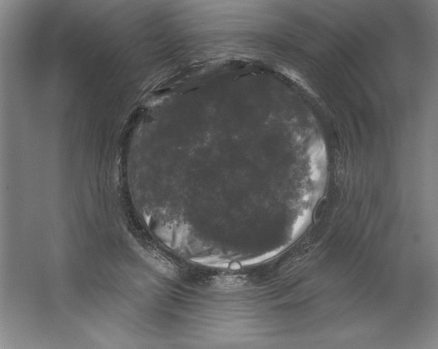 X0000062140451200512301531