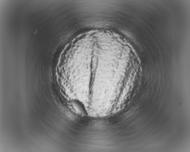 X0000062140453200512301531