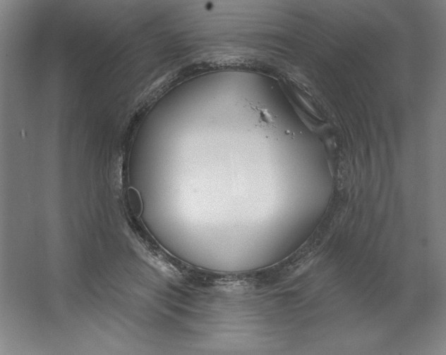 X0000062140454200512301532