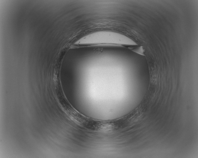 X0000062140456200512301532