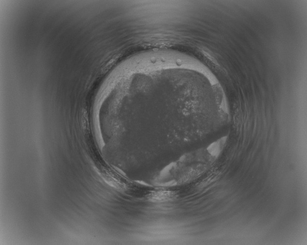 X0000062140459200512301532