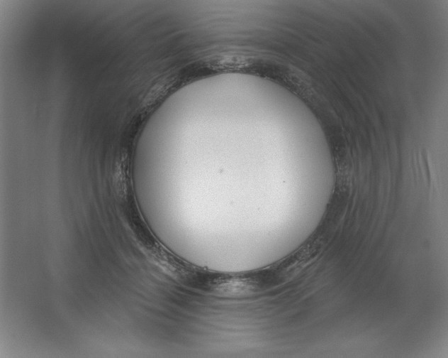 X0000062140460200512301532