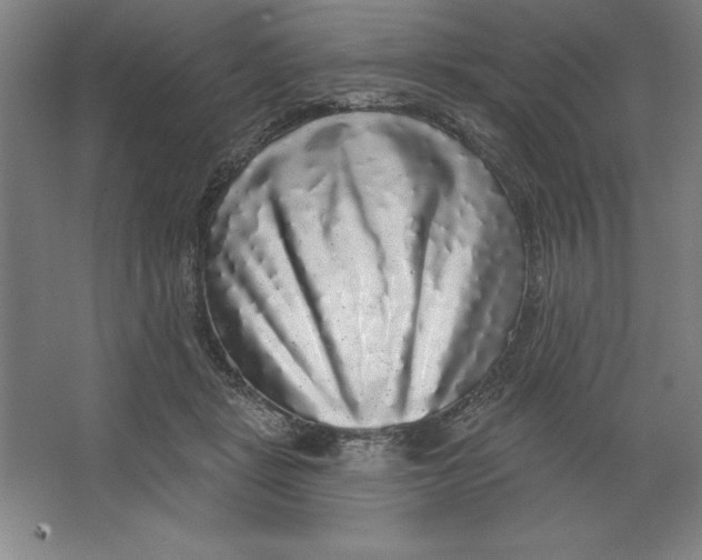 X0000062140461200512301532