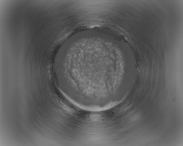 X0000062140462200512301532