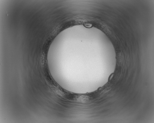 X0000062140463200512301532