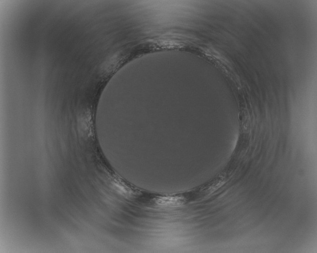 X0000062140465200512301532