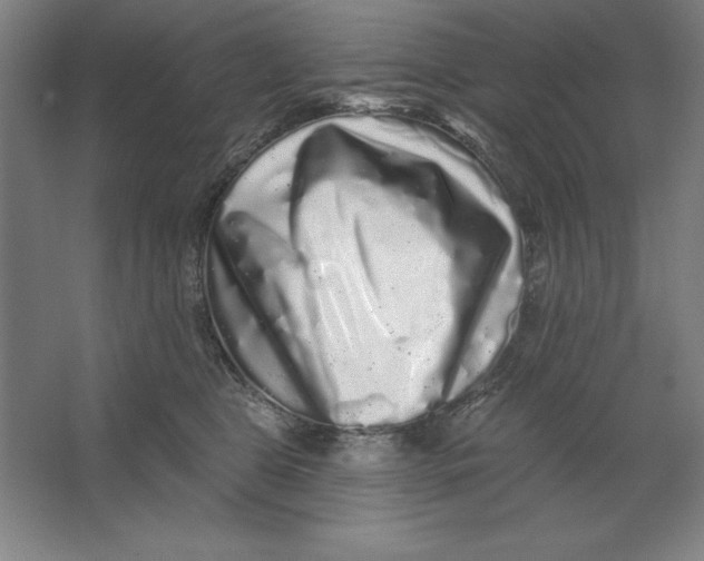 X0000062140469200512301532