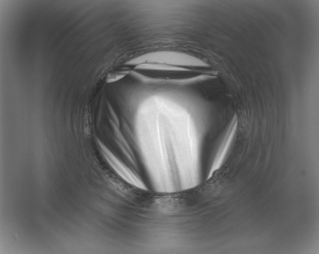 X0000062140470200512301532