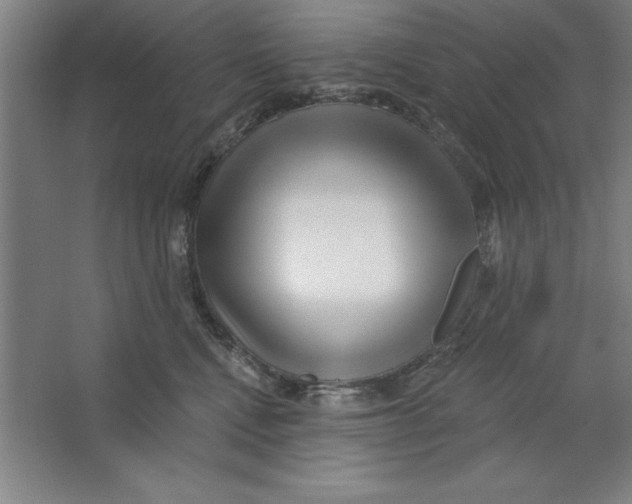 X0000062140472200512301532