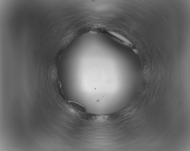 X0000062140474200512301532