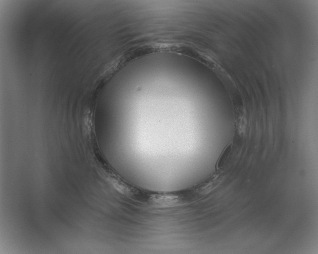 X0000062140476200512301532