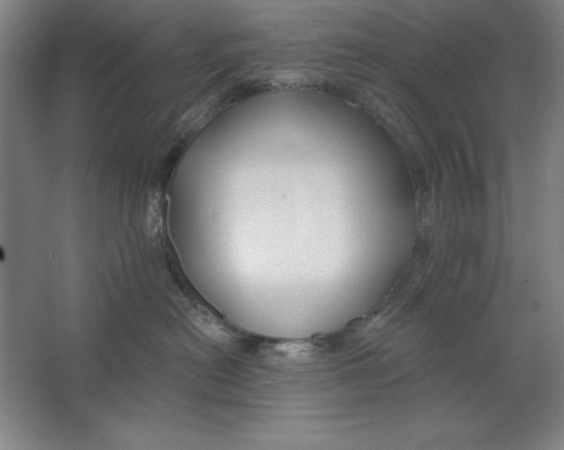 X0000062140478200512301532