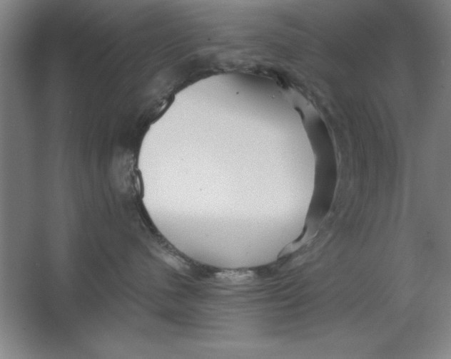 X0000062140480200512301532