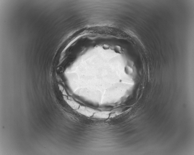 X0000062140483200512301531