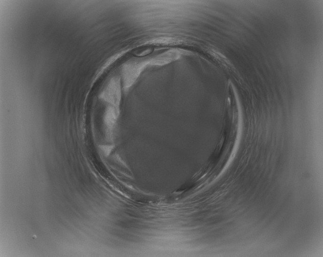 X0000062140484200512301531