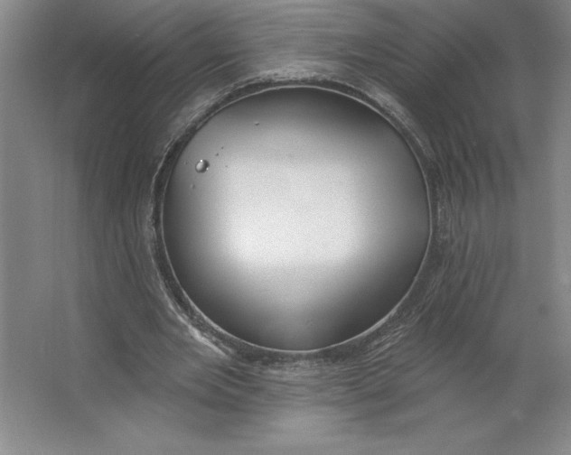 X0000062140485200512301531