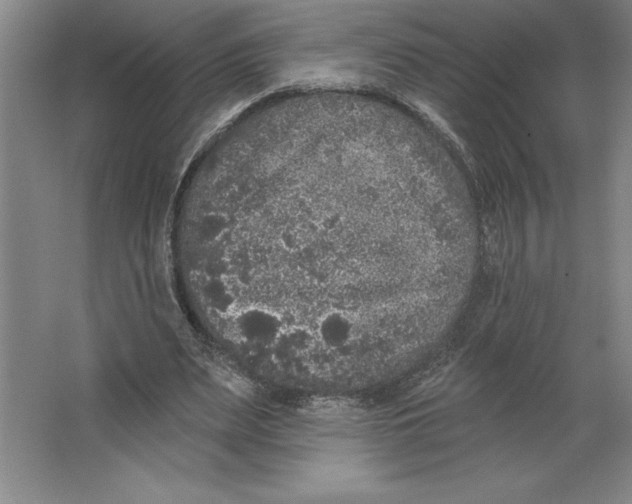 X0000062140487200512301531