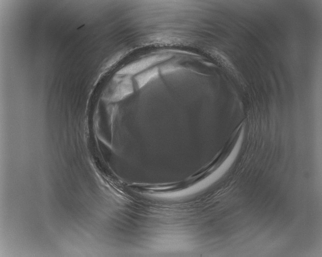 X0000062140488200512301531