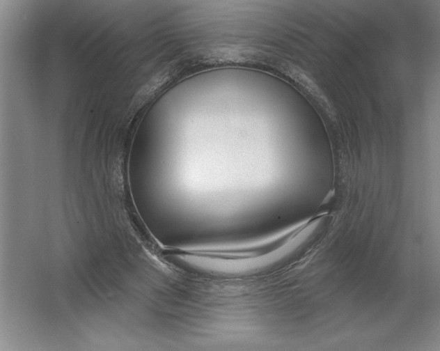 X0000062140489200512301531