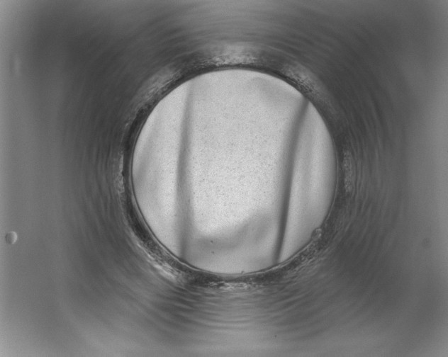 X0000062140490200512301531