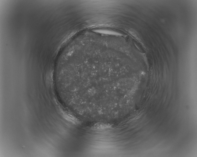 X0000062140491200512301531