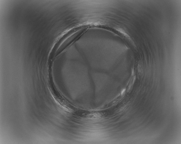 X0000062140492200512301531