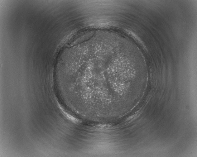 X0000062140493200512301531