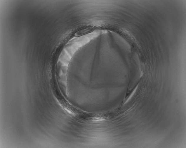 X0000062140496200512301531