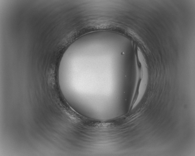 X0000062140497200512301531