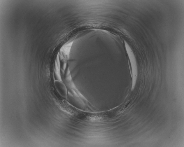 X0000062140500200512301531