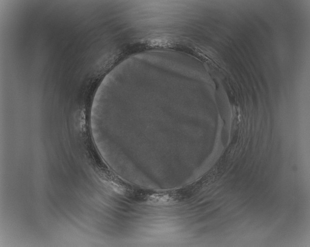 X0000062140502200512301531