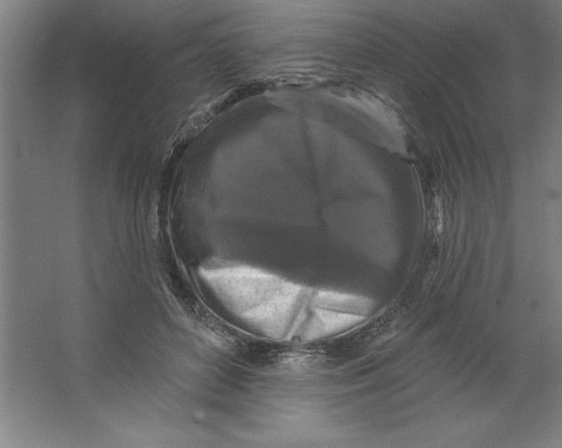 X0000062140504200512301531