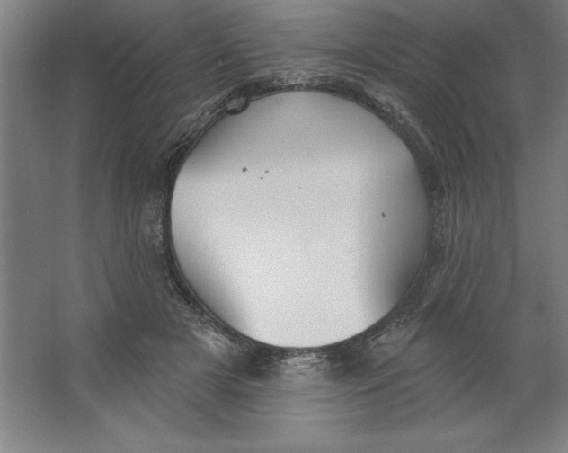 X0000062140505200512301531