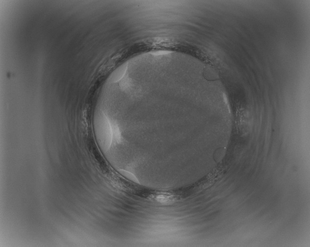 X0000062140506200512301531