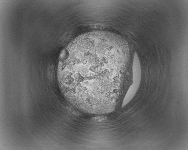 X0000062140511200512301531