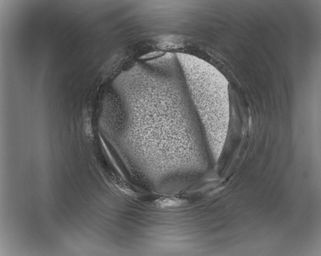 X0000062140512200512301531