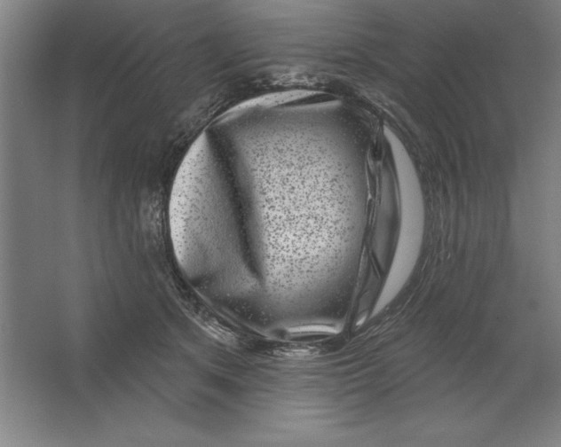 X0000062140513200512301531