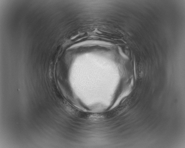 X0000062140515200512301531