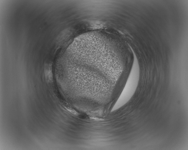 X0000062140516200512301531