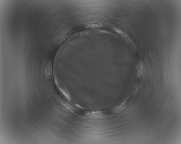 X0000062140517200512301531